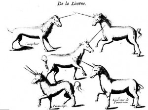 CHRONIQUE licorne Pierre Pomet mentionne cinq espèces de licornes